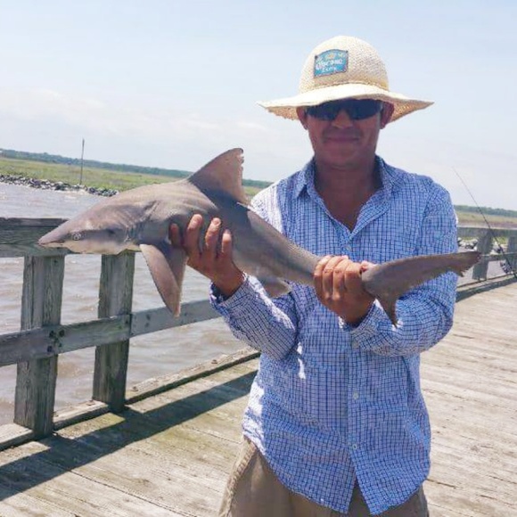 IF YOU LIKE SOMETHING SEND YOUR OFFER BECAUSE CAN BE SOLD IN ANOTHER APPS - Picture 2 of 6